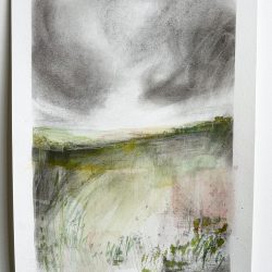 Spring Rising charcoal & watercolour on paper